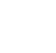 dip financing